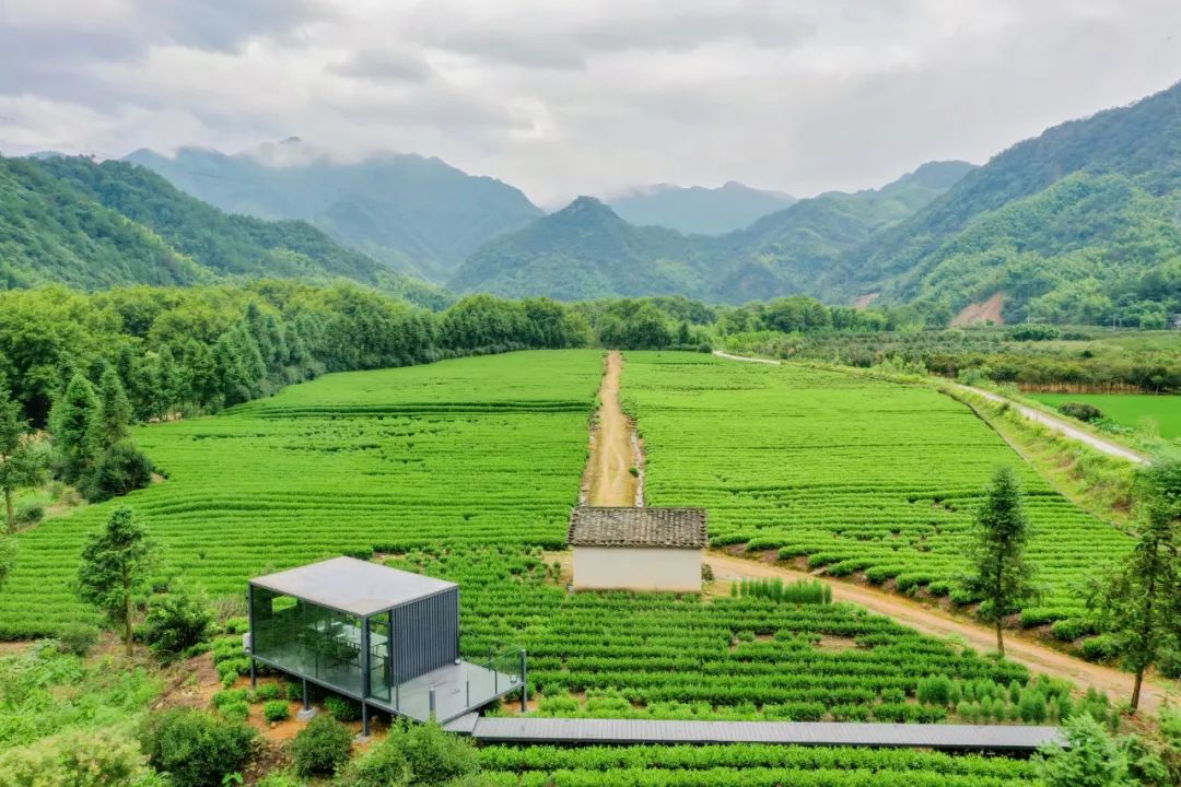 《三十而已》神仙取景地大曝光！高鐵20min直達顧佳同款絕美茶山，又一個寶藏地要火了！ 旅遊 第49張