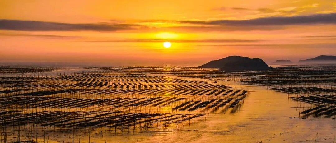 高铁直达中国版斯里兰卡！10月最宜人的海，绝美海岸线一路五彩斑斓的秋，随手拍都是好风光