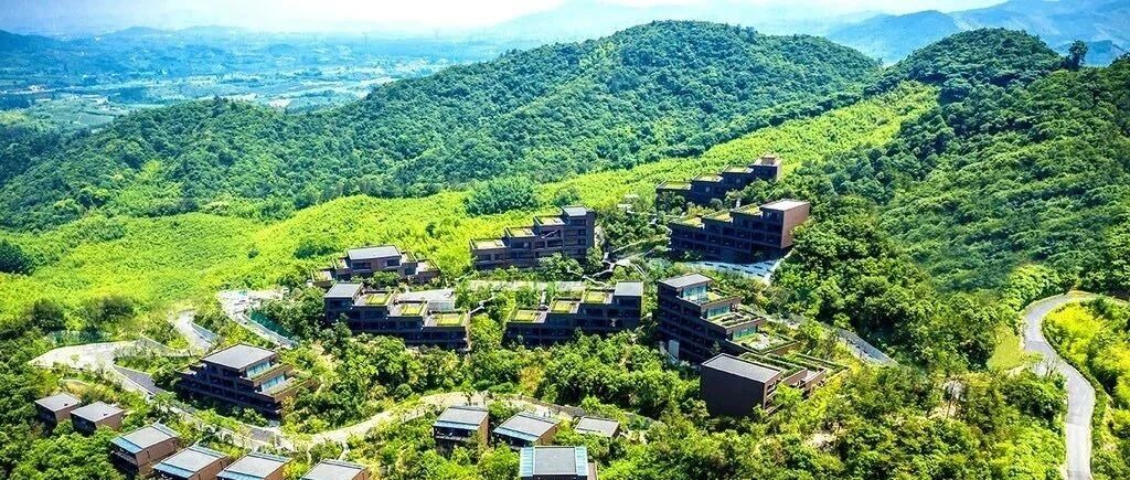 出行政策又放松，多地酒店持续好价！春节不涨，还有房赶紧囤！