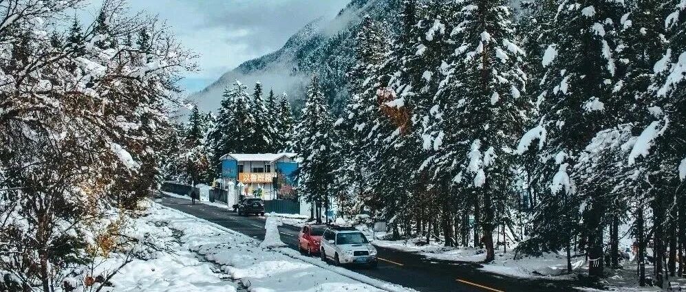 60年最冷冬天？别怕！冰川森林、火山泡汤，国内这个温泉圣地让你爱上冬天！