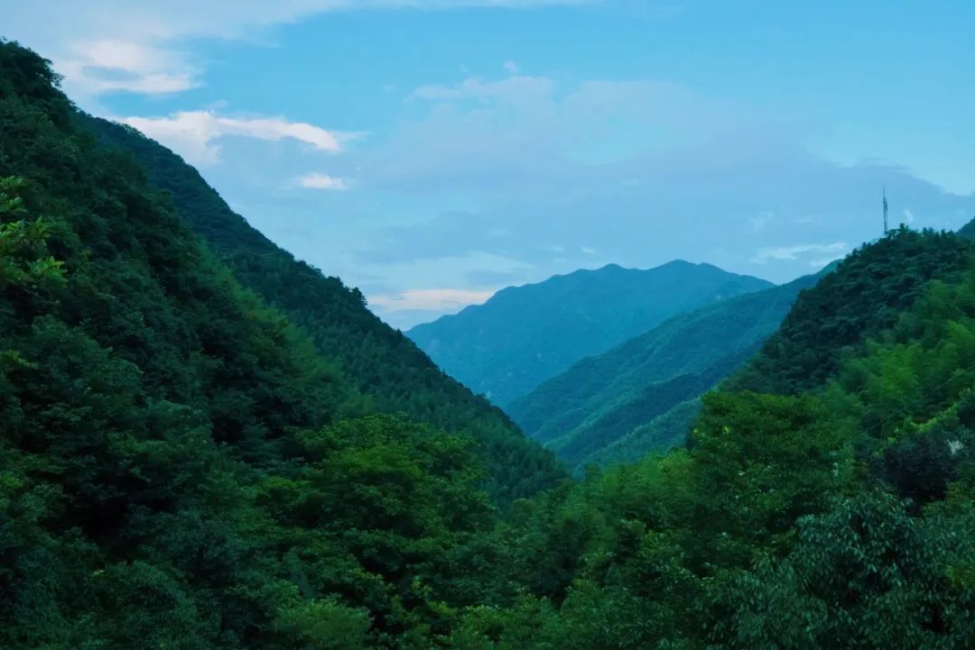 首發！隱於安吉竹林溪谷，270°景觀半山腰雙層無邊泳池，25℃沒有蚊子的清涼寶地！ 旅遊 第12張