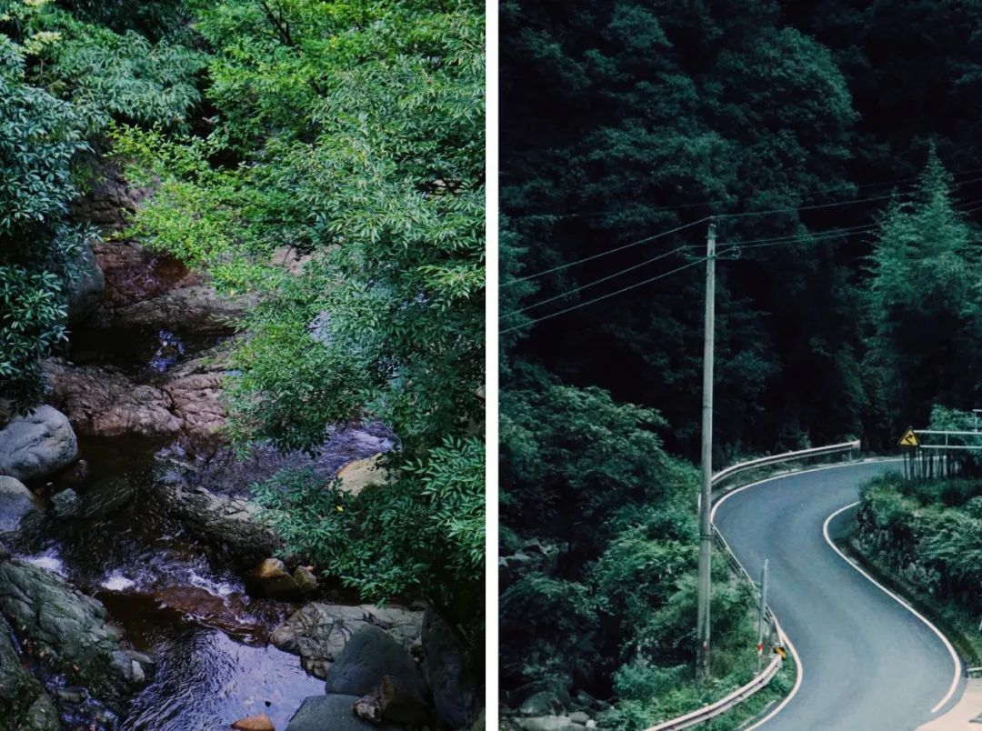 首發！隱於安吉竹林溪谷，270°景觀半山腰雙層無邊泳池，25℃沒有蚊子的清涼寶地！ 旅遊 第4張