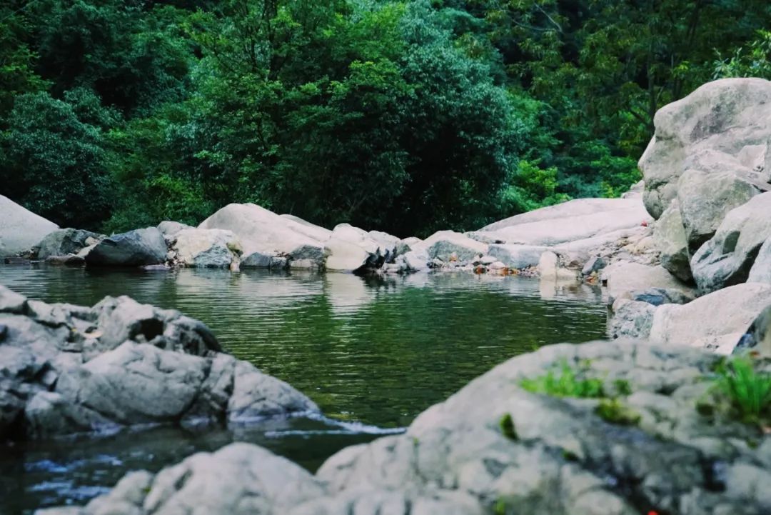 首發！隱於安吉竹林溪谷，270°景觀半山腰雙層無邊泳池，25℃沒有蚊子的清涼寶地！ 旅遊 第36張