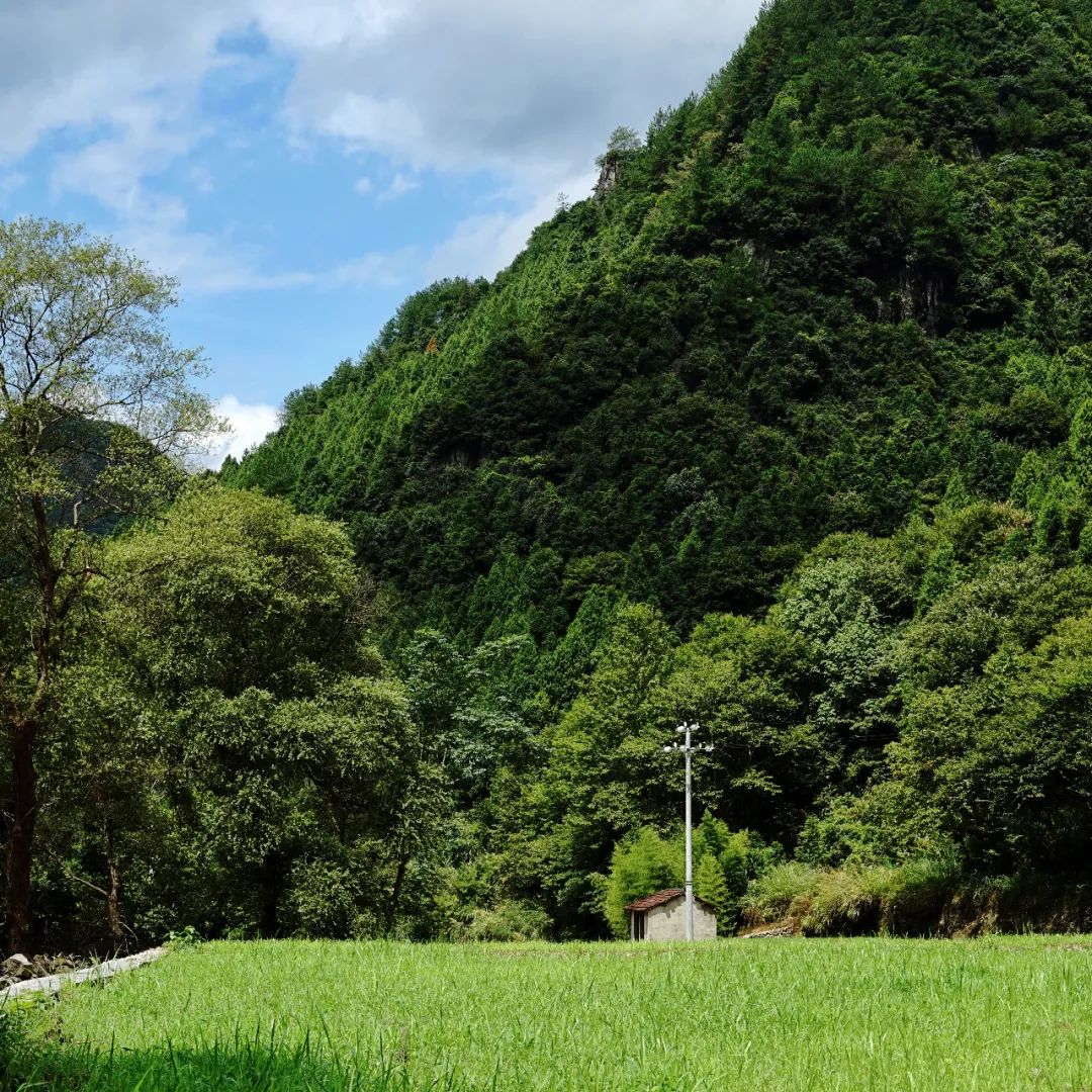 這片「江南香格里拉」的秘境裡，藏著一個媲美菲律賓的水世界！原始密林裡溯溪潛水，解鎖東南亞式野趣 旅遊 第7張