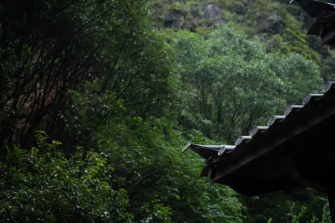 亞洲第一家！國內版小瑞士，歷時4年打造雪山峽谷酒店，天空之境森林為伴，枕星月而眠！ 旅遊 第12張