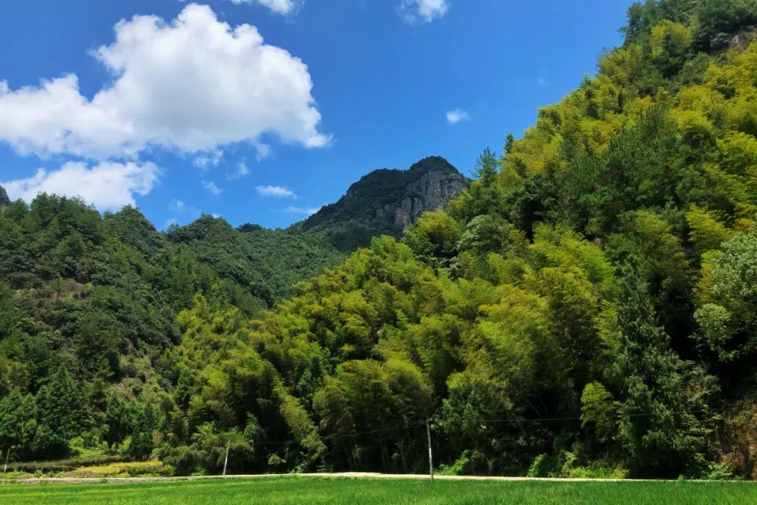 這片「江南香格里拉」的秘境裡，藏著一個媲美菲律賓的水世界！原始密林裡溯溪潛水，解鎖東南亞式野趣 旅遊 第6張