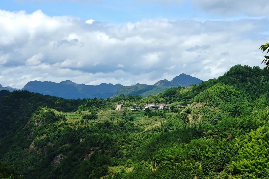 這片「江南香格里拉」的秘境裡，藏著一個媲美菲律賓的水世界！原始密林裡溯溪潛水，解鎖東南亞式野趣 旅遊 第102張