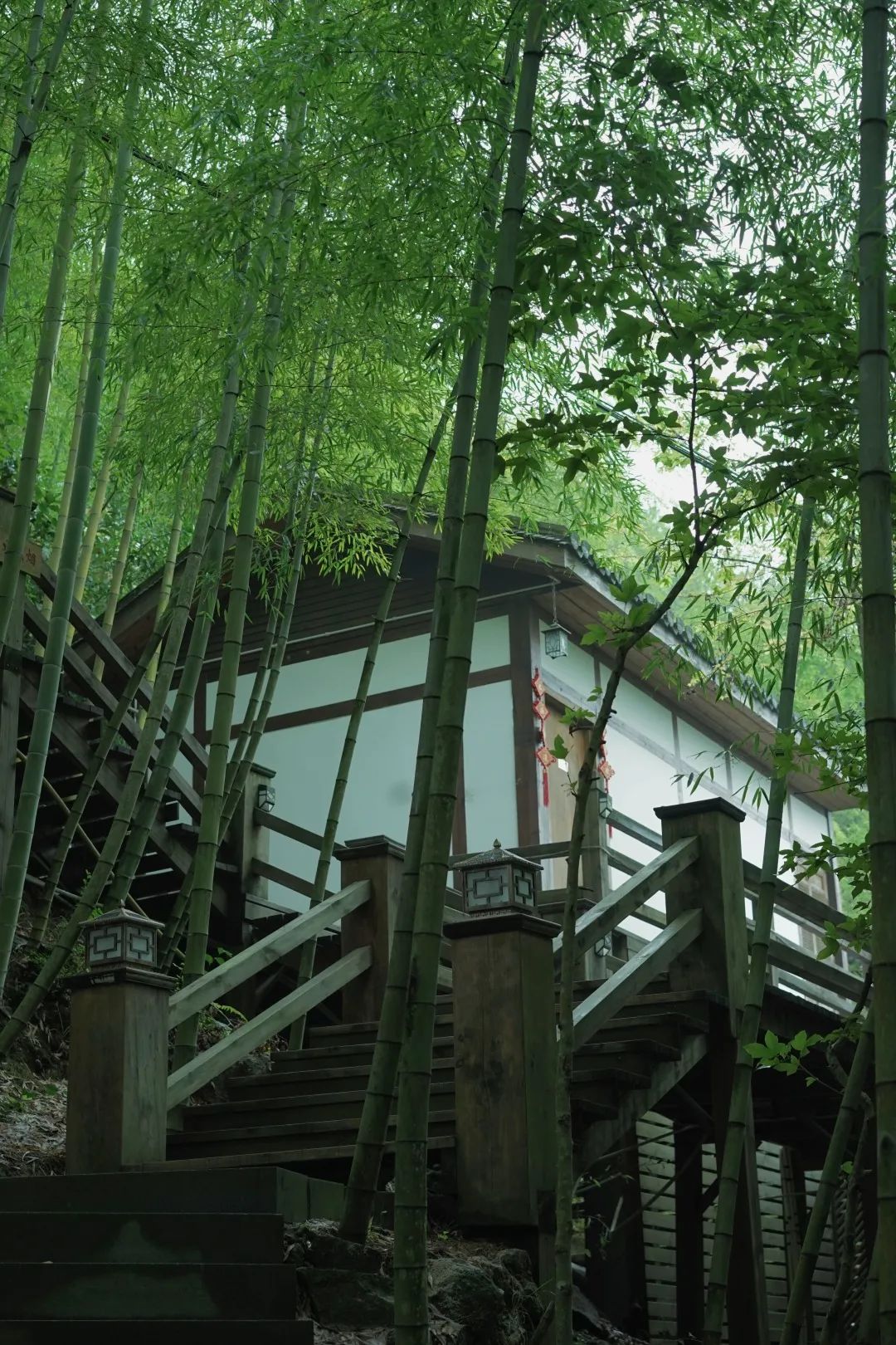 這條鐵路即將通往鮮有人知的極致秘境！私藏無數4A級風景，浙南以南的800米「雲端之城」即將大火！ 旅遊 第30張