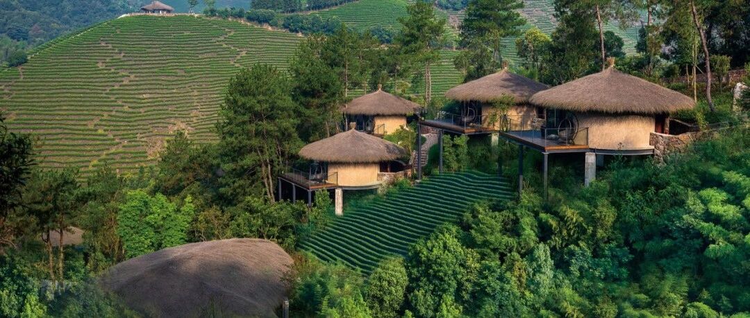 酒店控都沸腾了！超野奢独栋木屋Villa，茶山竹海全景环绕，独享700亩隐世秘境，江浙1h直达！