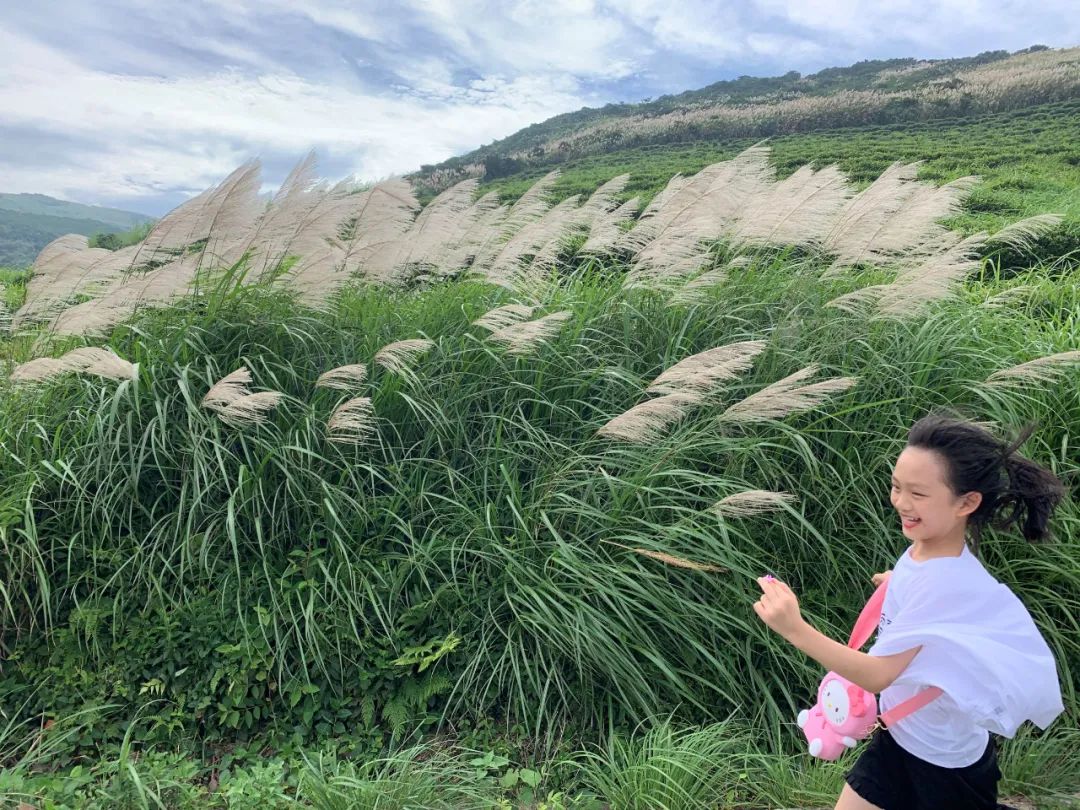 別往三亞紮堆了！這個高鐵直達的神仙海島，媲美夏威夷，不輸馬爾蒂夫，人少景美，夢幻熒光海好驚艷！ 旅遊 第50張