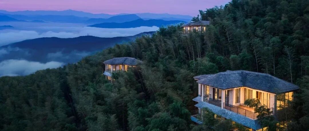 杭州1h实现温泉自由！300亩竹海仙境，天然真温泉一户一私汤，今冬必睡野奢酒店！