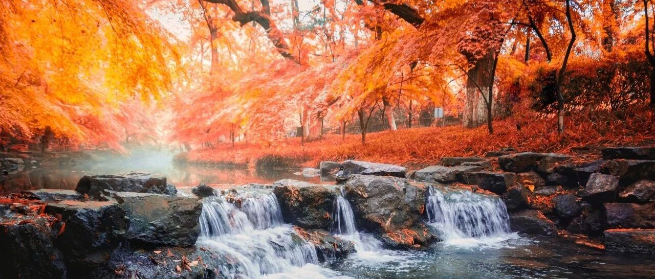 别去西湖了！这里才是杭州人最爱的度假地，私藏最后一波神仙秋色，错过后悔一年！