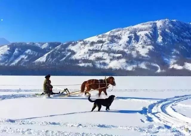 國內藏了個冬日小瑞士，這個雪後的世外桃源，值得你走一趟 旅遊 第22張