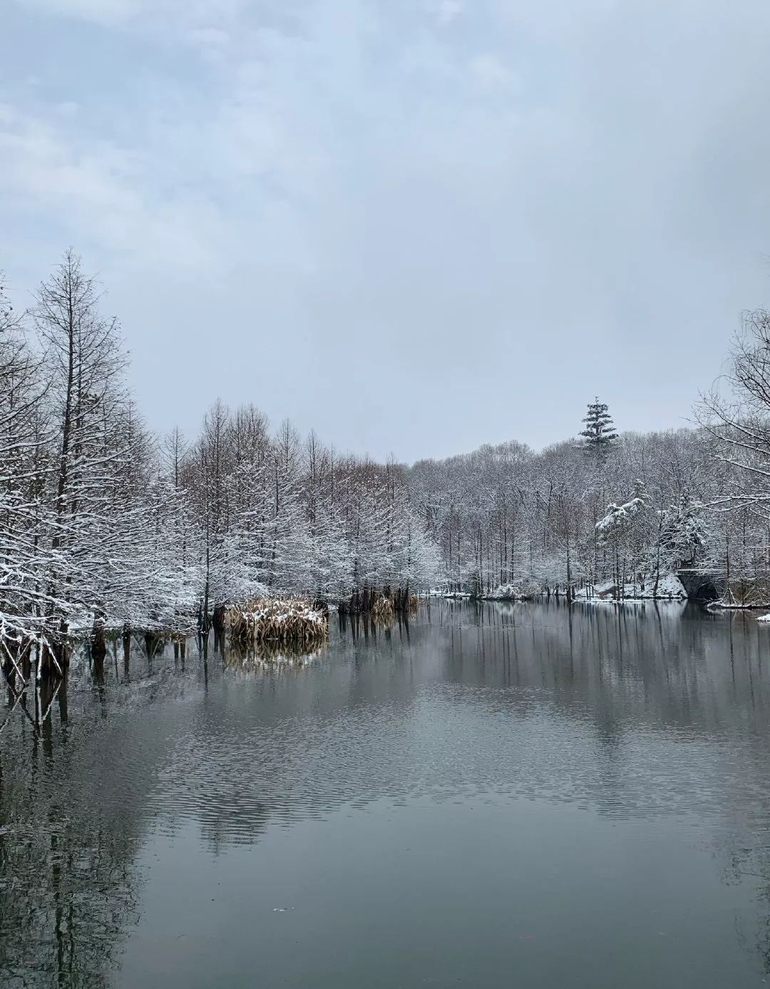 下雪後的這6座城市，藏著極致的中國風，國外一個能打的都沒有 旅遊 第28張