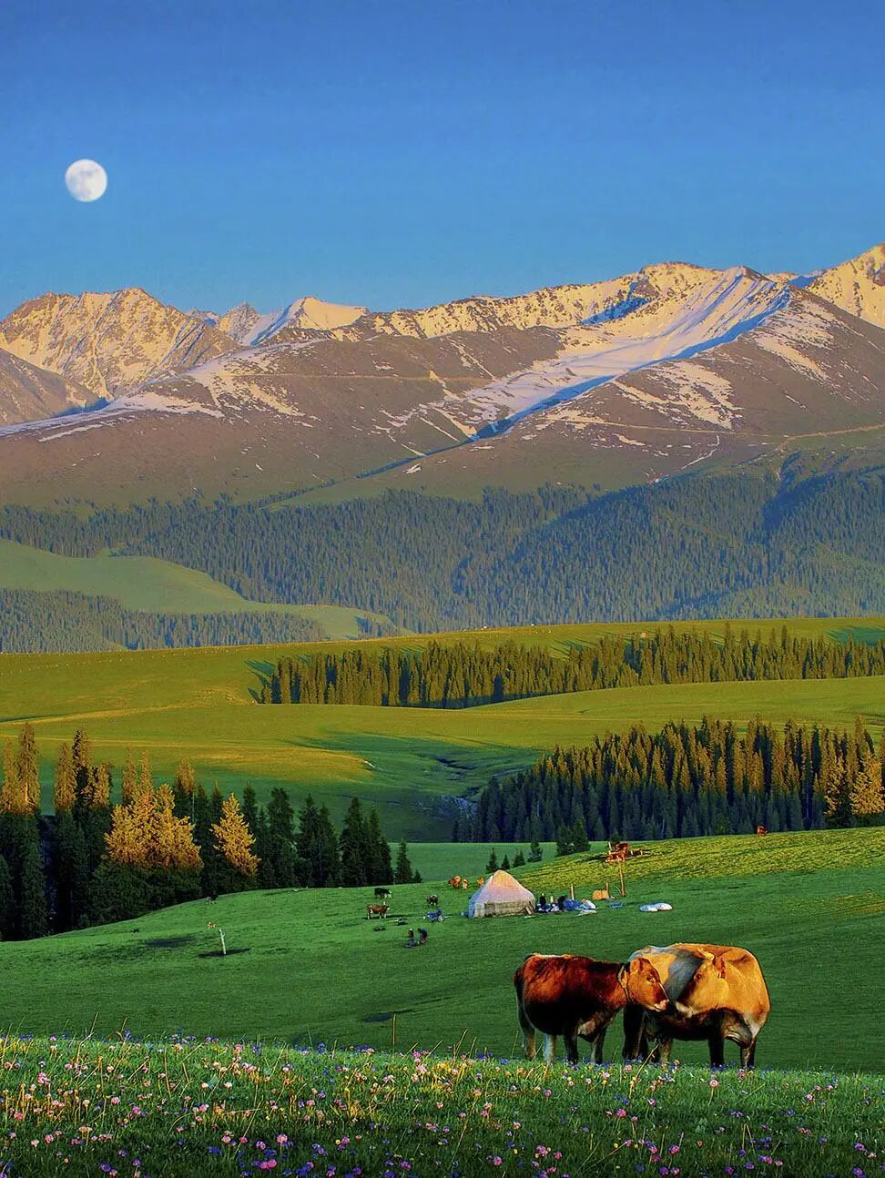 如果你累了不妨选择一种旅行方式开启一场身体与灵魂的并行