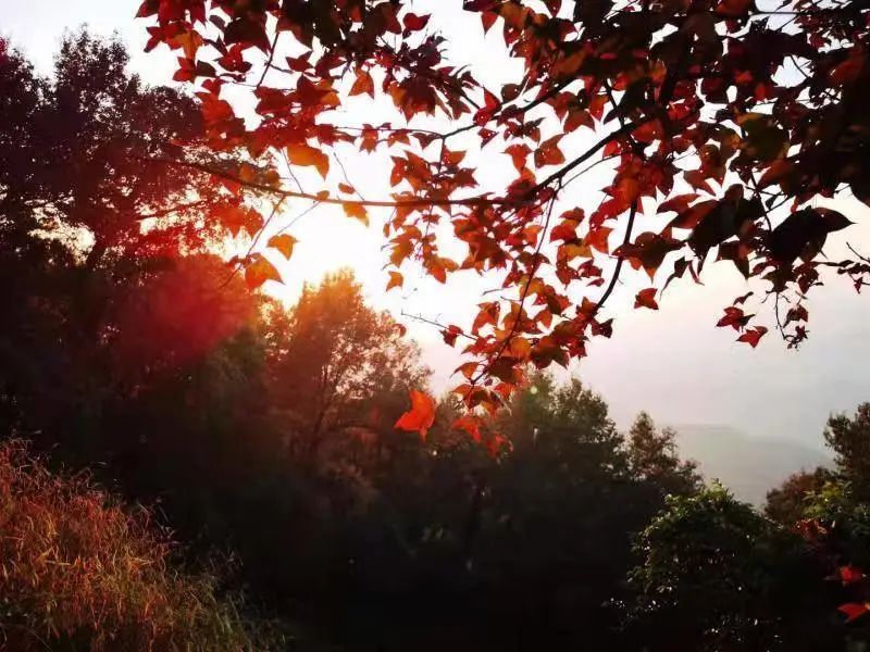 冬季最低调的8条自驾路线,瞬间沦陷了!你去过几个?-微信头条网 冬季最低调的8条自驾路线,瞬间沦陷了!你去过几个?