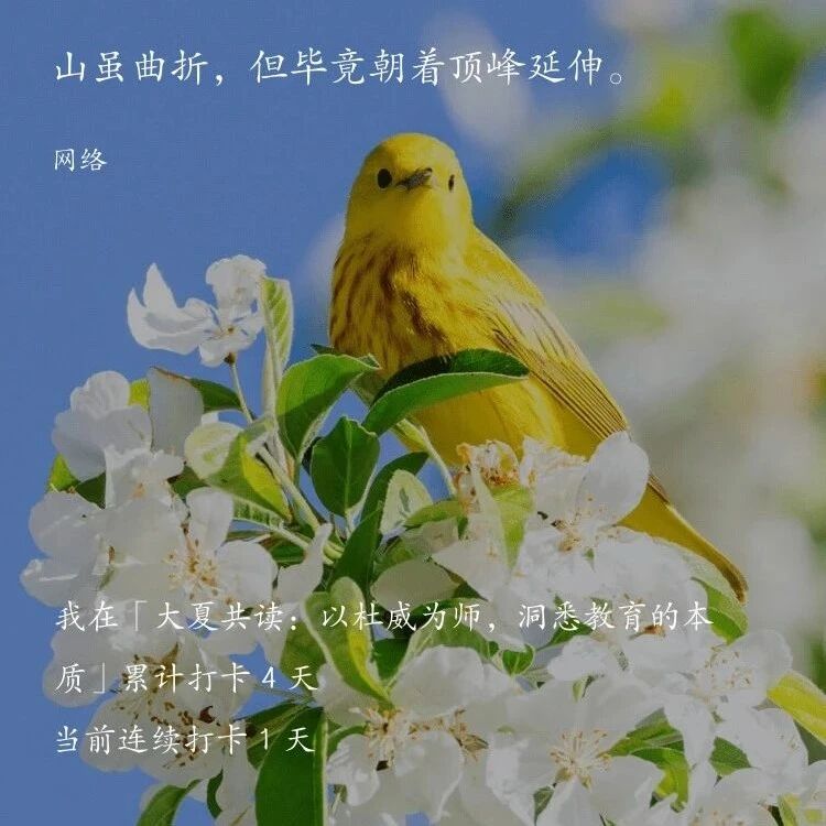 【青春语文·丁国满专栏】以儿童之眼，观教育之径——读成尚荣《儿童立场》有感