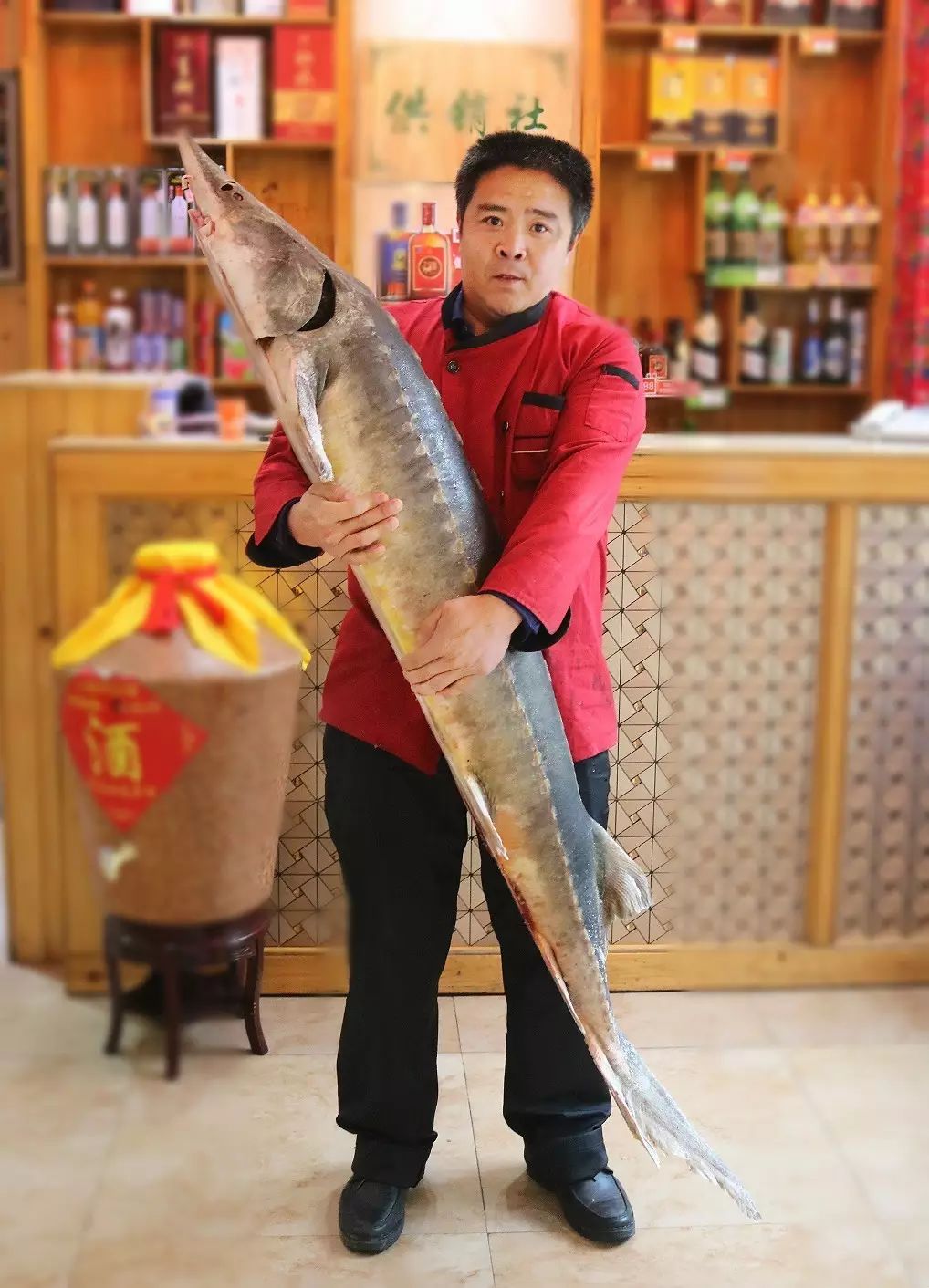 ▼ 在周口绝对正宗的野生鱼 从东北空运而来的大黄鱼,怀头鱼 东北大炕