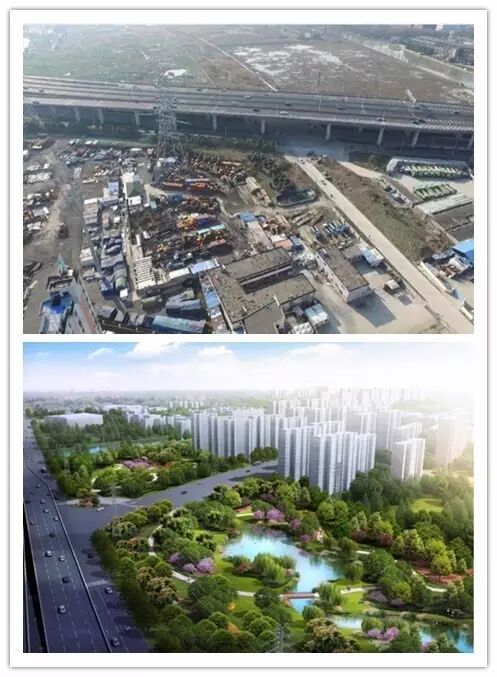 (川杨河规划绿带整治前以及整治后效果图)