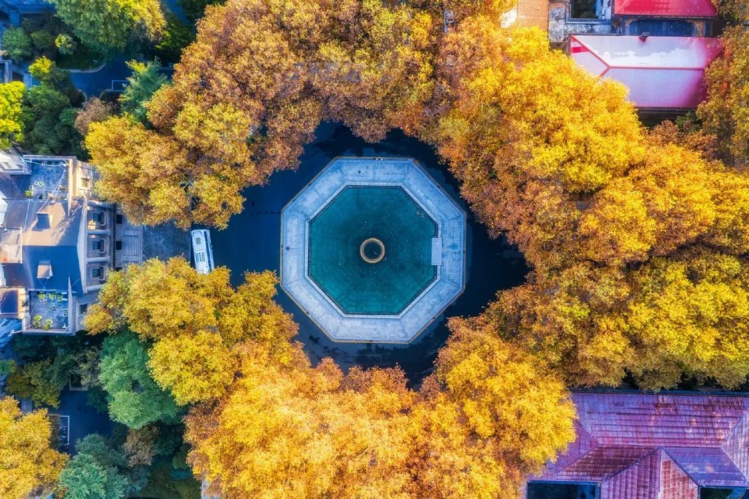 南京大學 | 南京理工大學 | 南京師範大學東南大學 | 河海大學 | 南京