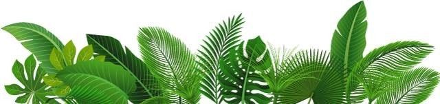 治疗高血压有用的中药有哪些？