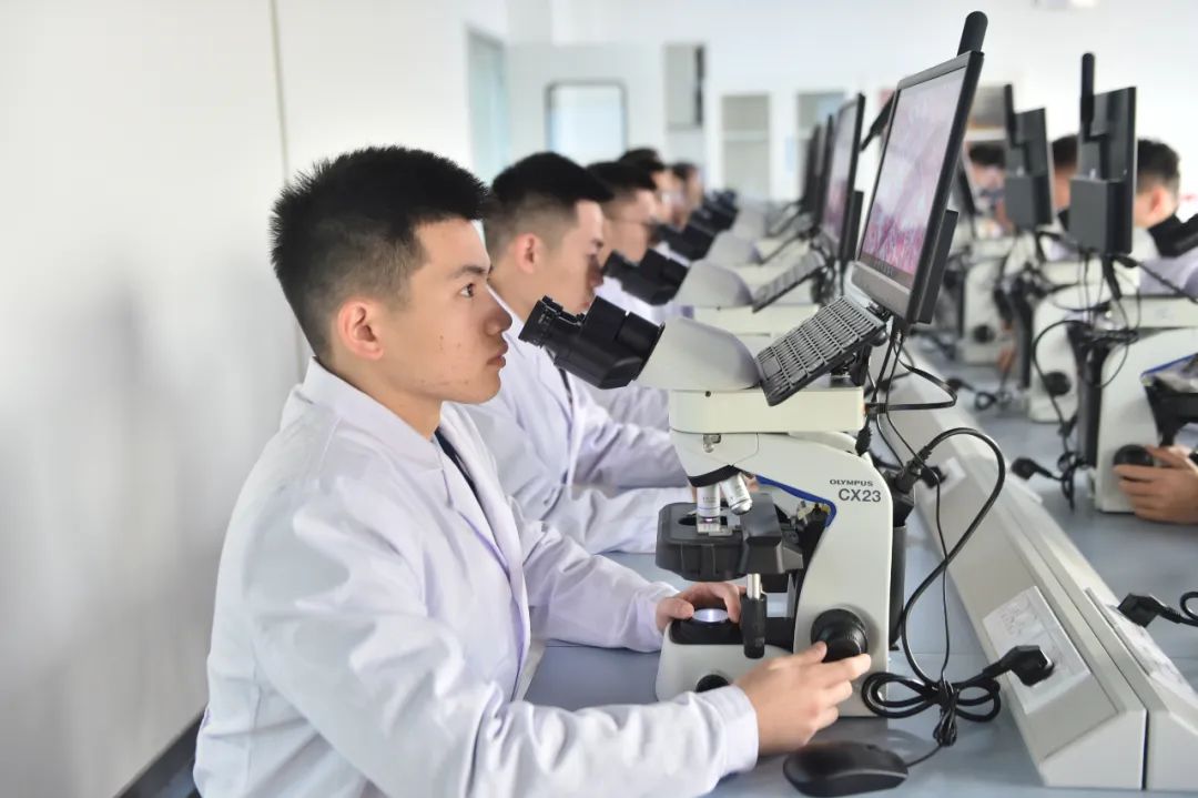 7. 四年制生物技术专业培养应用型生物技术专门人才。主要开设生物化学与