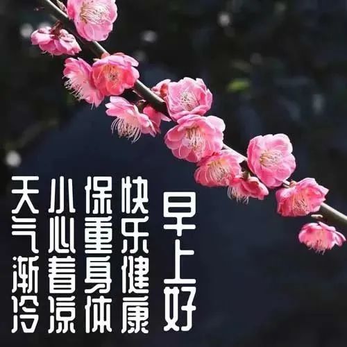 2月20日早上好祝福图片带字温馨 2023唯美早安问候祝福图片文字精选