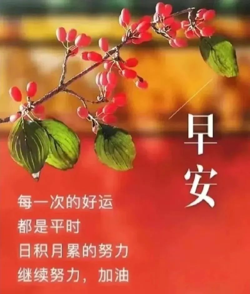 2月20日早上好祝福图片带字温馨 2023唯美早安问候祝福图片文字精选