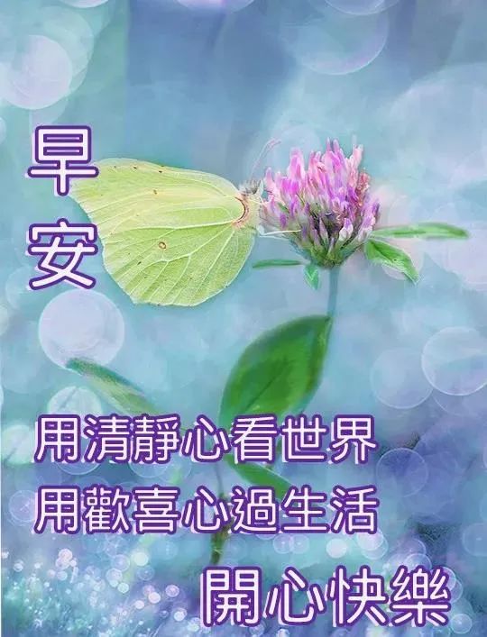 8張非常有創意的出伏清晨早上好圖片帶祝福語唯美出伏早安問候祝福語