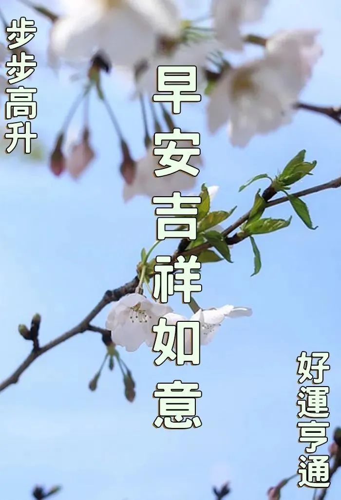 8张非常有创意的秋天清晨早上好图片带祝福语唯美秋天早安问候祝福语