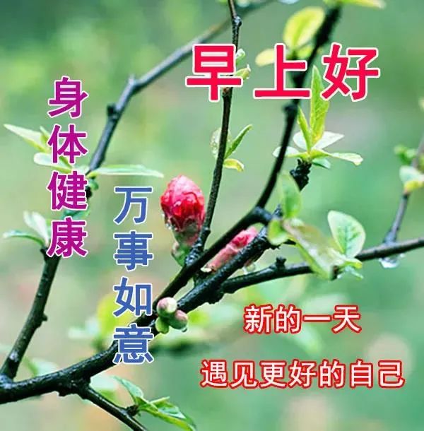 7張最新漂亮早上好圖片鮮花帶字帶祝福語 2021最美秋日早安問候祝福