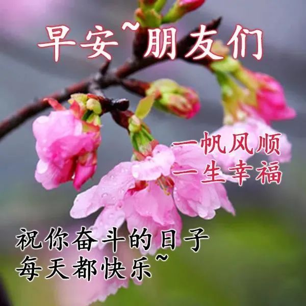 8张特漂亮的免打字早上好动态祝福鲜花图片创意唯美的夏日清晨好问候