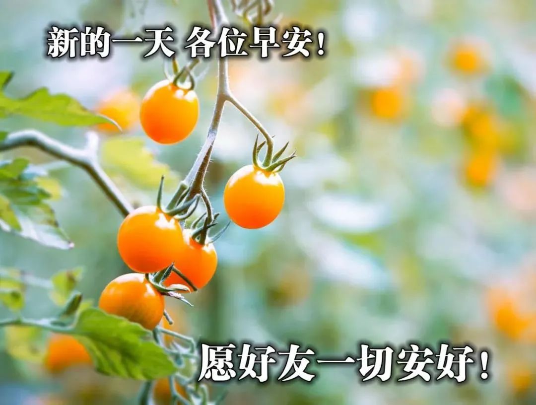 8张最新清新漂亮早上好图片带字带祝福语好看的朋友圈早安问候祝福语