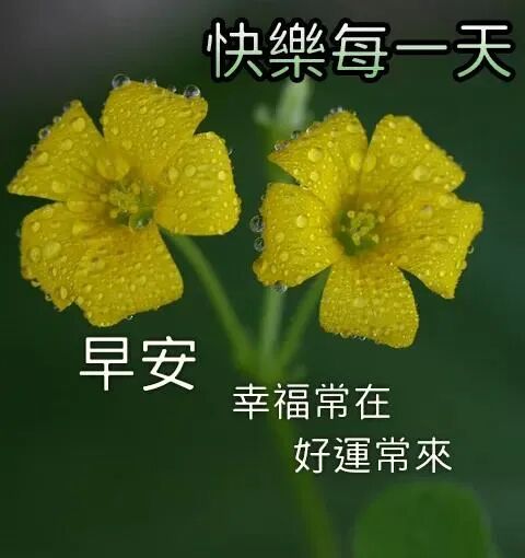 21年5月4日星期二青年节最新早上好特漂亮动态祝福图片带字 周二最暖心的早安问候语动态表情图片 早安祝福语图片