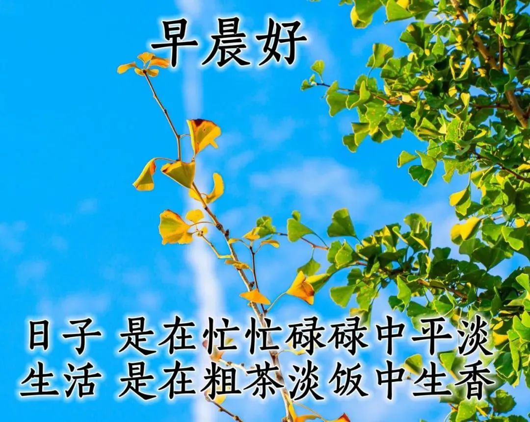 8张清新漂亮秋天清晨早安图片带字带祝福语好看的秋日朋友圈早上好