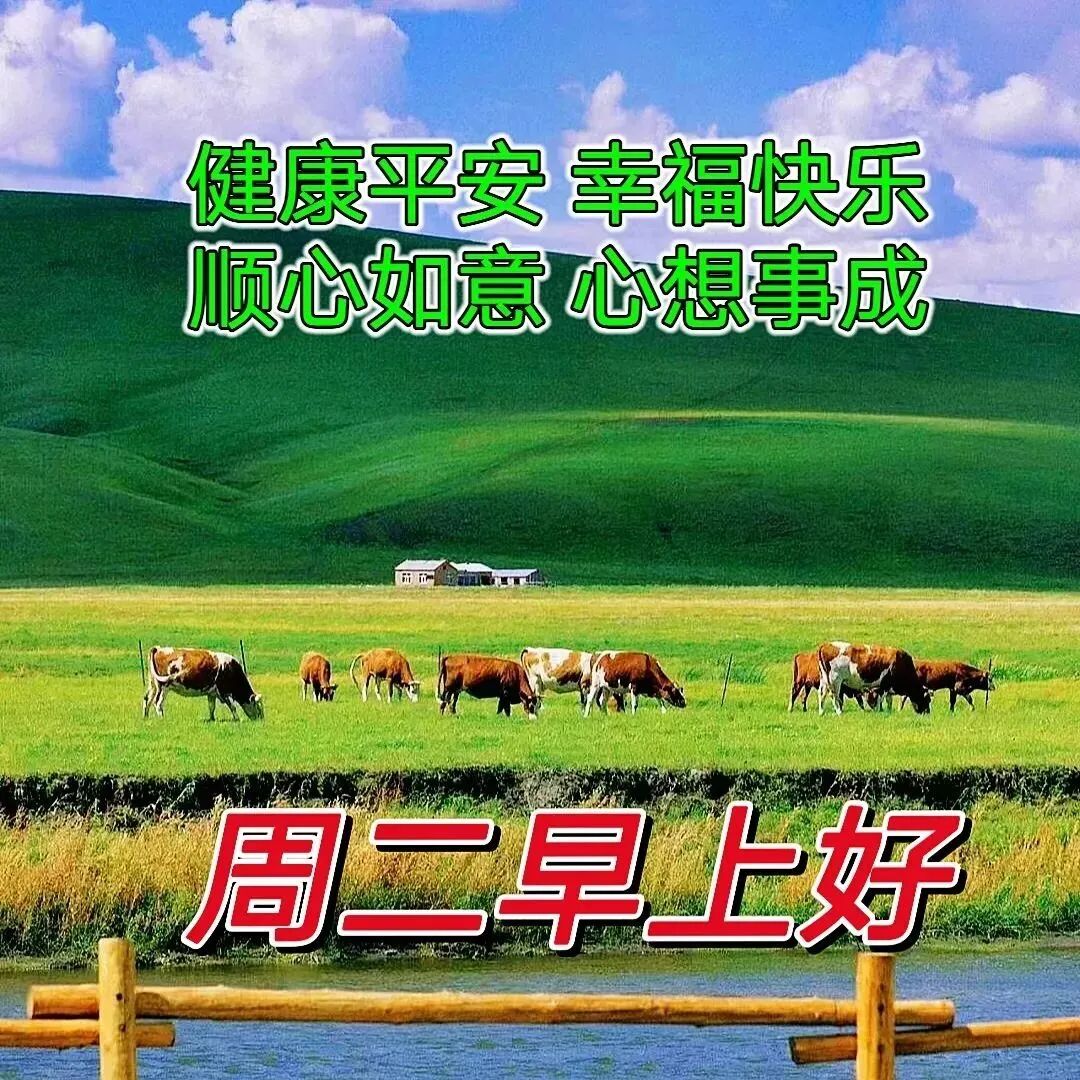 出行的吉利语_祝出行吉利的语言_出车吉利语言