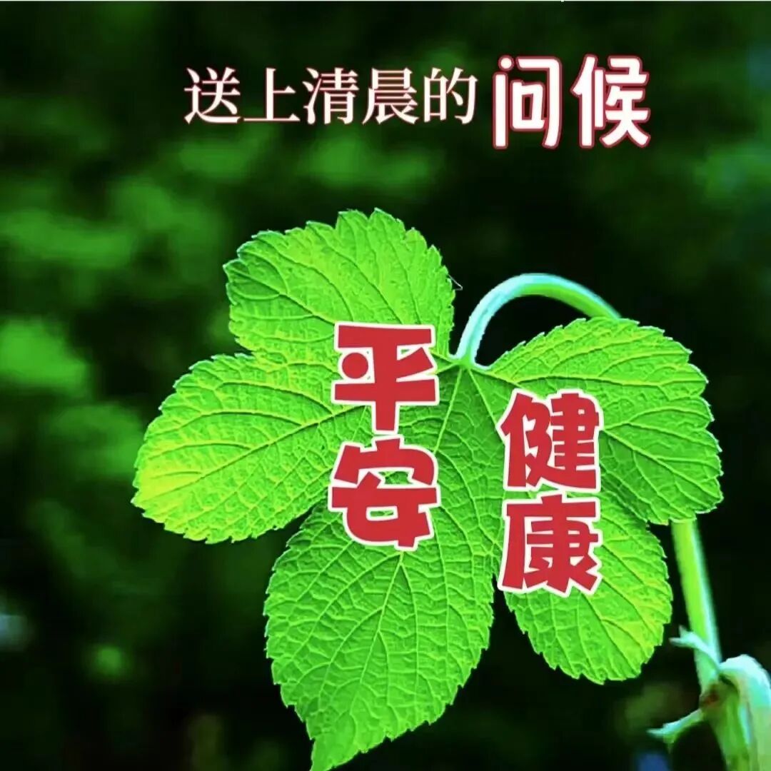 出行的吉利语_祝出行吉利的语言_出车吉利语言