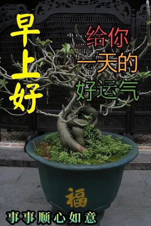 问候表情包_中老年问候表情包_最好的早晨问候表情包