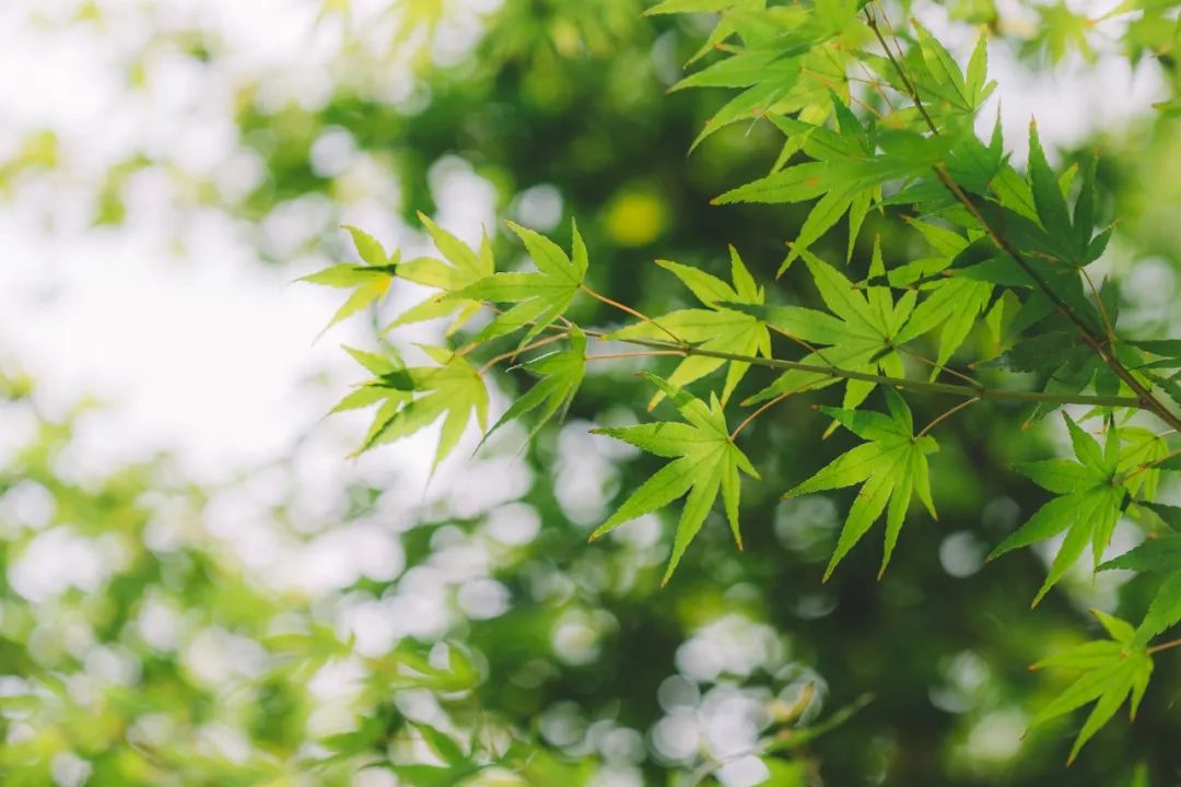 生活處處有中醫 健康 第6張