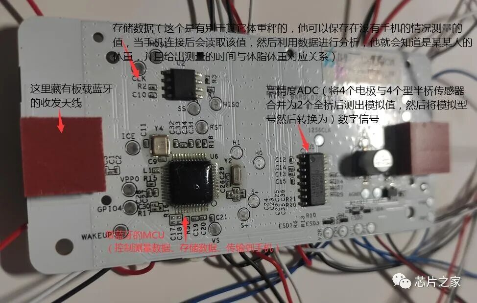 拆解小米体脂秤2，内部方案一览无余，先学习研究一番！的图4