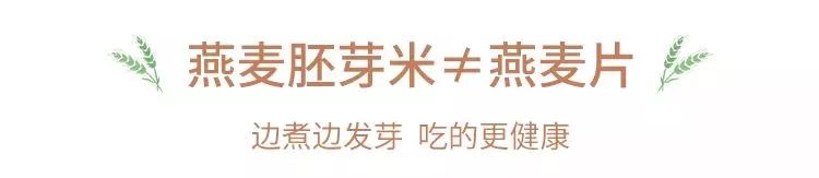 每天吃碗它，瘦身防衰老，血糖、膽固醇也降了，越吃越年輕～ 未分類 第14張