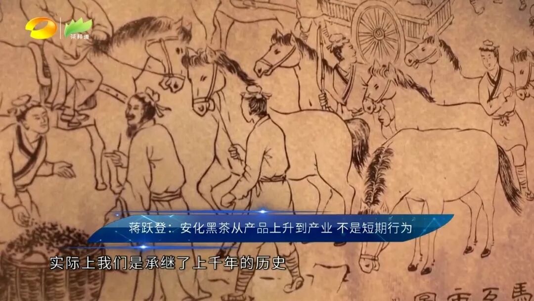 专访蒋跃登：探索安化黑茶产业成功复兴的关键所在