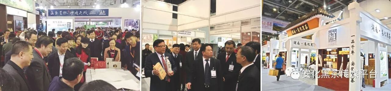 安化黑茶军团中外展会竞风流