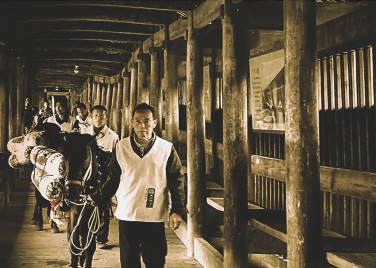 民国文献《西北茶事概况及其发展途径》论安化黑茶