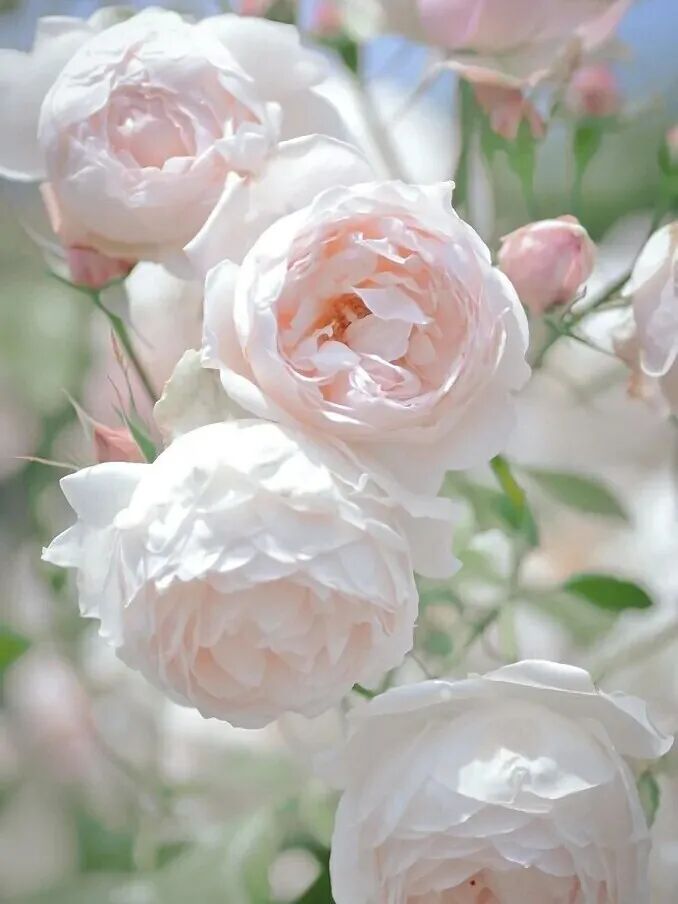 戶外塑木地板價(jià)格價(jià)格_長(zhǎng)沙塑木地板價(jià)格_空心塑木地板