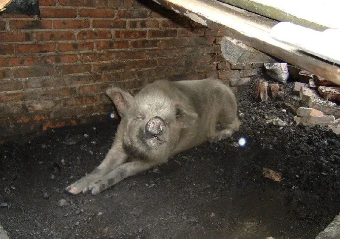 印度行政区划分_印度行政区划_印度行政区划图高清