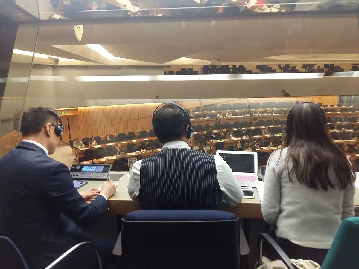 你曾听到的关于联合国的一切,还不快来策马一锤定音!_策马翻译_语言-