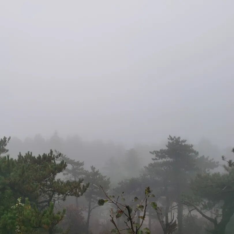 庐山旅游攻略&避坑指南，一起玩转庐山