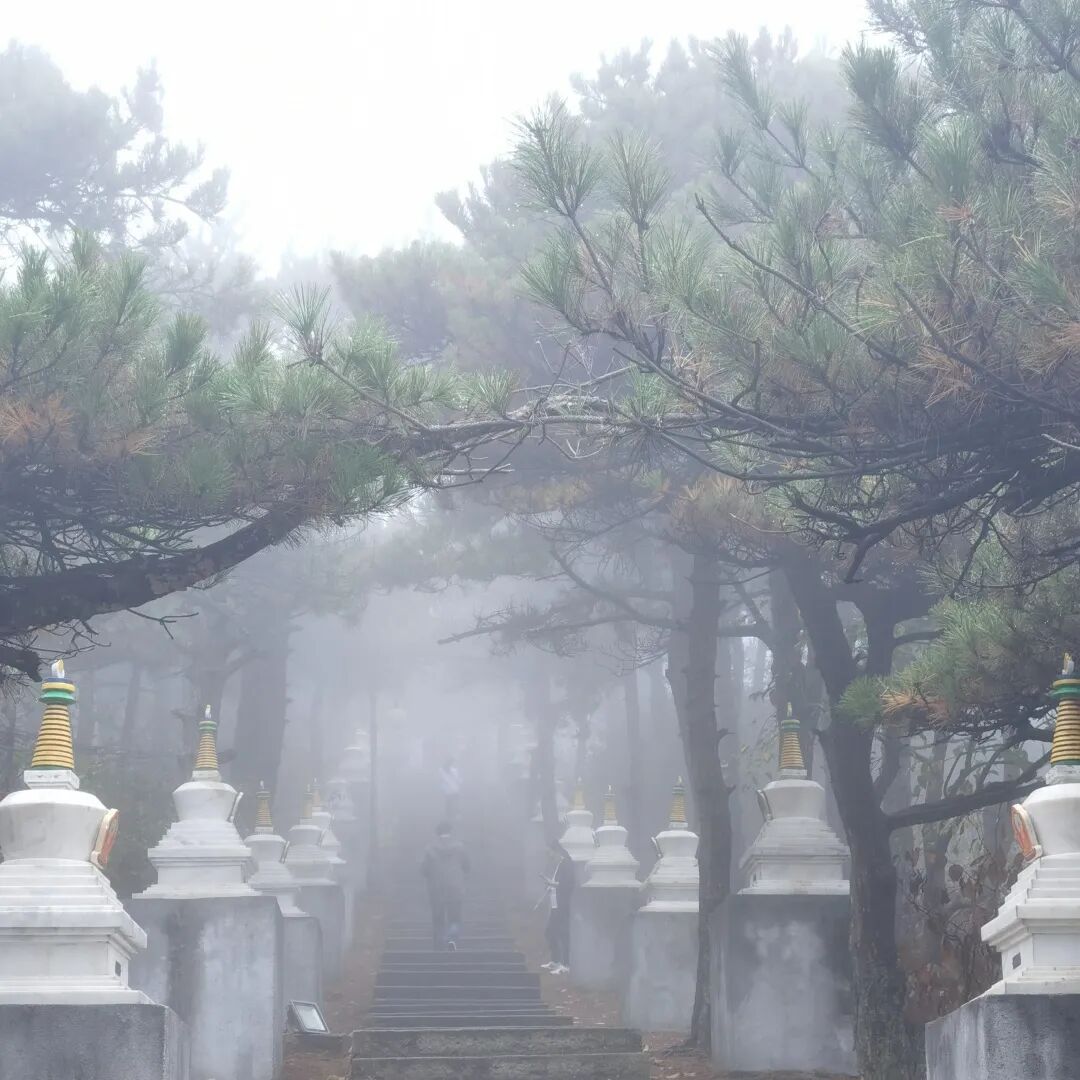 庐山旅游攻略&避坑指南，一起玩转庐山