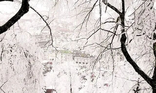 庐山旅游攻略&避坑指南，一起玩转庐山